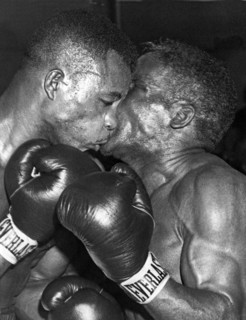 Two Boxers In A Clinch