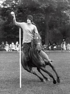 Pony Gymkhana Champion