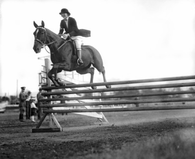 Rock Creek Hunt Club Jumps