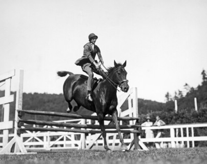Rider Jumps At Horse Show