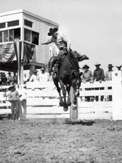 Riding A Bucking Bronco