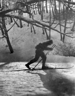Moonlight Skiing In Russia