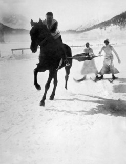 Skijoring In Germany