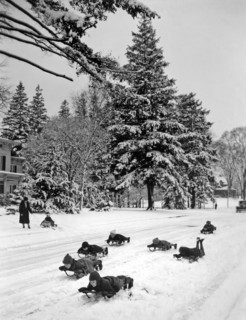 The winter's first snow brings joy to the children
