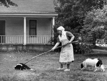 Woman Gently Moves A Skunk