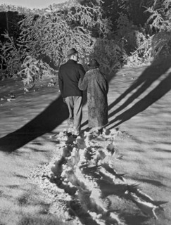 Wintertime Moonlight Stroll