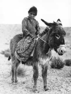Navajo Herder