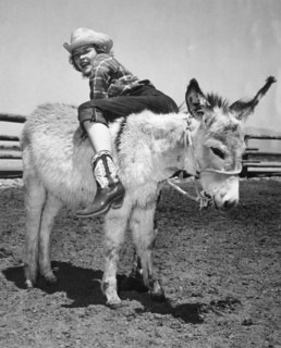 Cowgirl Backwards On A Donkey