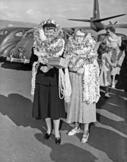 Hawaiian Tourists With Leis