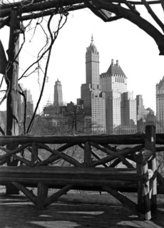 Hotels Seen From Central Park
