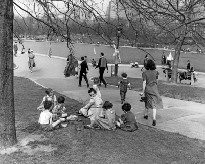 A Spring Day In Central Park