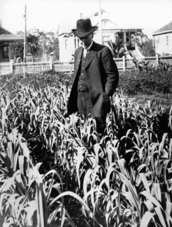 Luther Burbank In His Garden