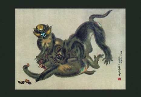 Monkey Fight
