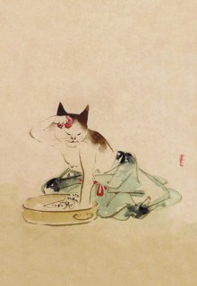 Japanese Cat Bathing
