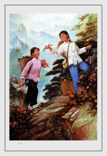 Picking Herbs