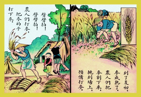 This Is How We Harvest Rice 1923