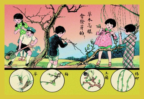 This Is How Plants Grow 1923