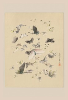 Butterflies 2 1850