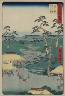 Hodogaya 1855