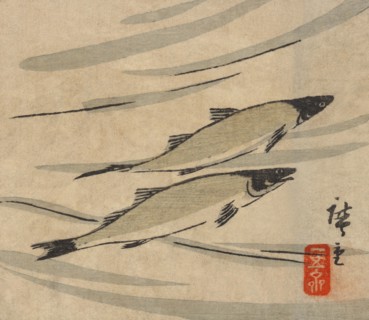 River Trout (Ayu zu)