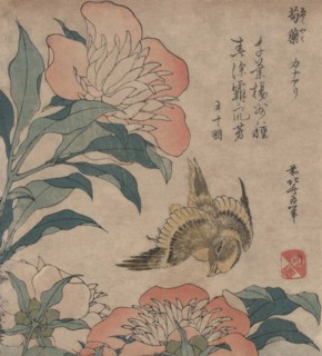 Peony & Canary 1833