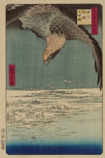Hawk flying above a snowy landscape along the coastline. 1857