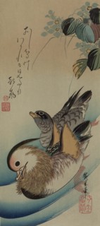 Mandarin ducks 1840