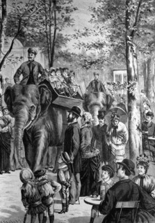 Elephant ride in the berlin zoo