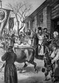 Blessing of cows