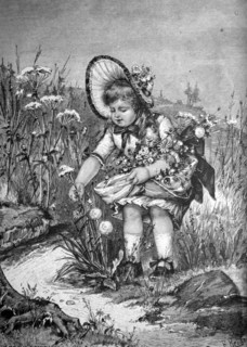 Child picking summer flowers,