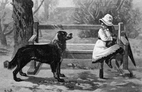 Child with a dog