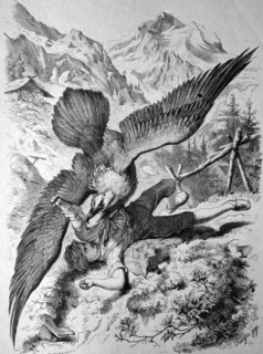 Vulture captures a boy