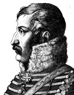 Ferdinand von schill