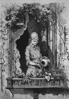 Girl watering flower