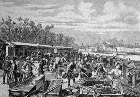 Fish market