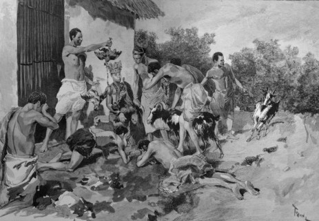 Sacrifice of animals