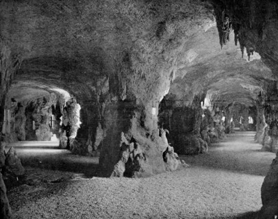 Underground aquarium du trocadero