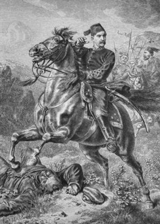 Suleiman pasha,