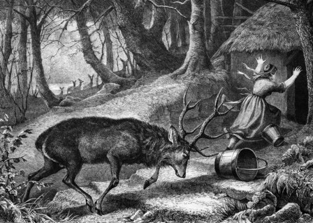 Deer attacking a farmer