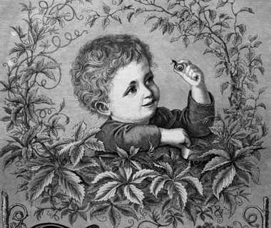Young boy looking at a snail