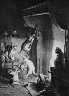 Walpurgis night of the cats