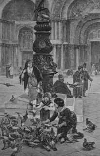 St mark's square in venice
