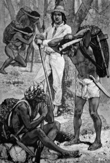 Indiarubber gatherers