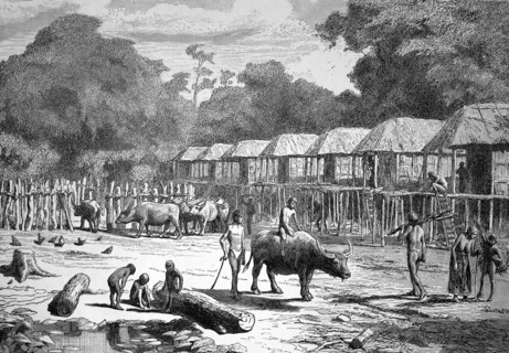 Country scene in laos