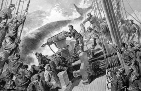 Whalers with a harpoon gun