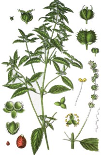 Annual mercury
