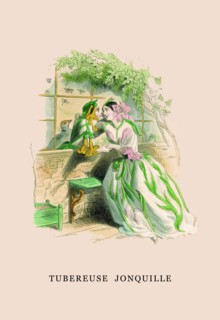 Tubereuse Jonquille 1847