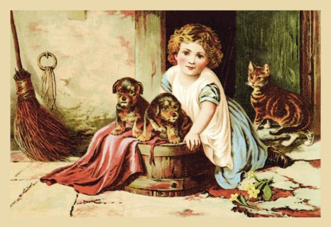 Which Do You Like? 1870