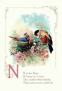 N is for Nest