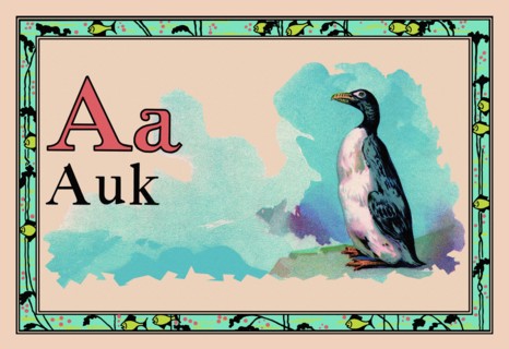 Auk 1926